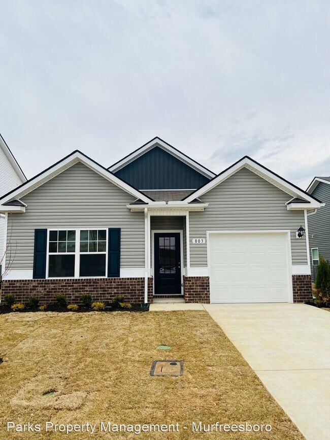 Foto del edificio - 3 br, 2 bath House - 803 Grand Station Blvd