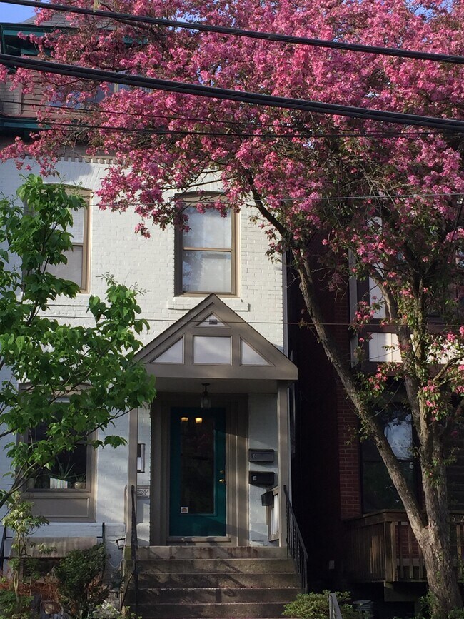 Street view of the "White Castle" - 6344 Aurelia St