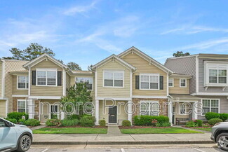 Building Photo - 1007 Denmark Manor Dr