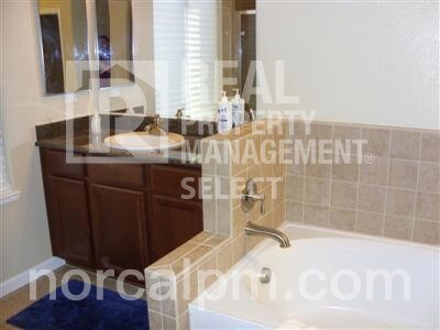 Foto del edificio - Gorgeous 6 bed 4.5 bath home in Anatolia