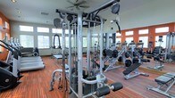 This single-floor fitness center is designed to support a comprehensive workout experience, combining functionality with an open, energetic atmosphere. The space is anchored by a prominent Life Fitness multi-station cable machine at its center, offering a wide range of strength training options. Surrounding it are additional resistance machines, weight benches, and free weight equipment, providing users with a well-rounded selection of exercise options.

Large windows line the walls, flooding the space with natural light and creating an airy, motivating environment. The warm orange accent walls contrast with the neutral ceiling and contribute to the gym's energetic aesthetic. Durable striped flooring in warm tones adds visual interest while providing a practical, easy-to-maintain surface suited for high-traffic use.

Full-length mirrors are positioned along one wall, enhancing the sense of space and allowing users to monitor their form during workouts. A ceiling fan overhead aids in air circulation, contributing to a comfortable workout environment. The overall layout is thoughtfully organized, allowing for efficient movement between equipment stations while maintaining an open, uncluttered feel throughout.