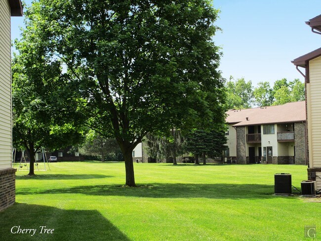 Building Photo - 49 Cherry Tree Ln