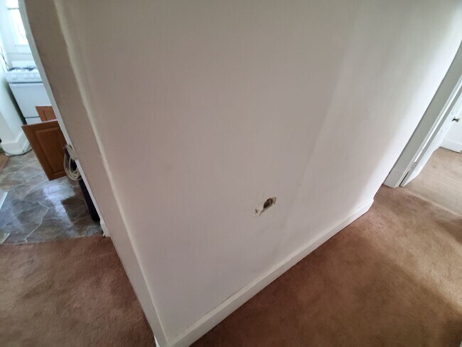 Building Photo - 2512 Walnut St