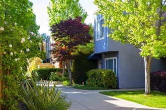 Outside building w/walkway - Palm Terrace Concord