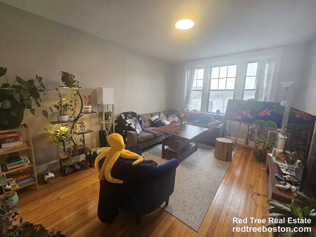 Foto del edificio - 370 Chestnut Hill Ave