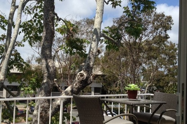 Foto del edificio - 300 Cagney Ln