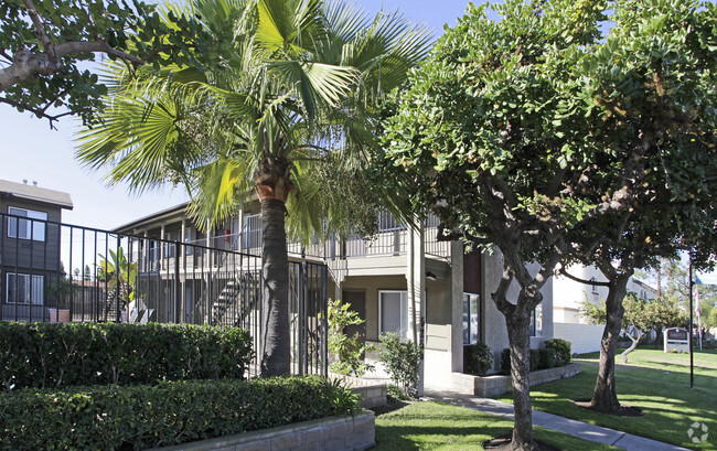 Building Photo - Mesa Village