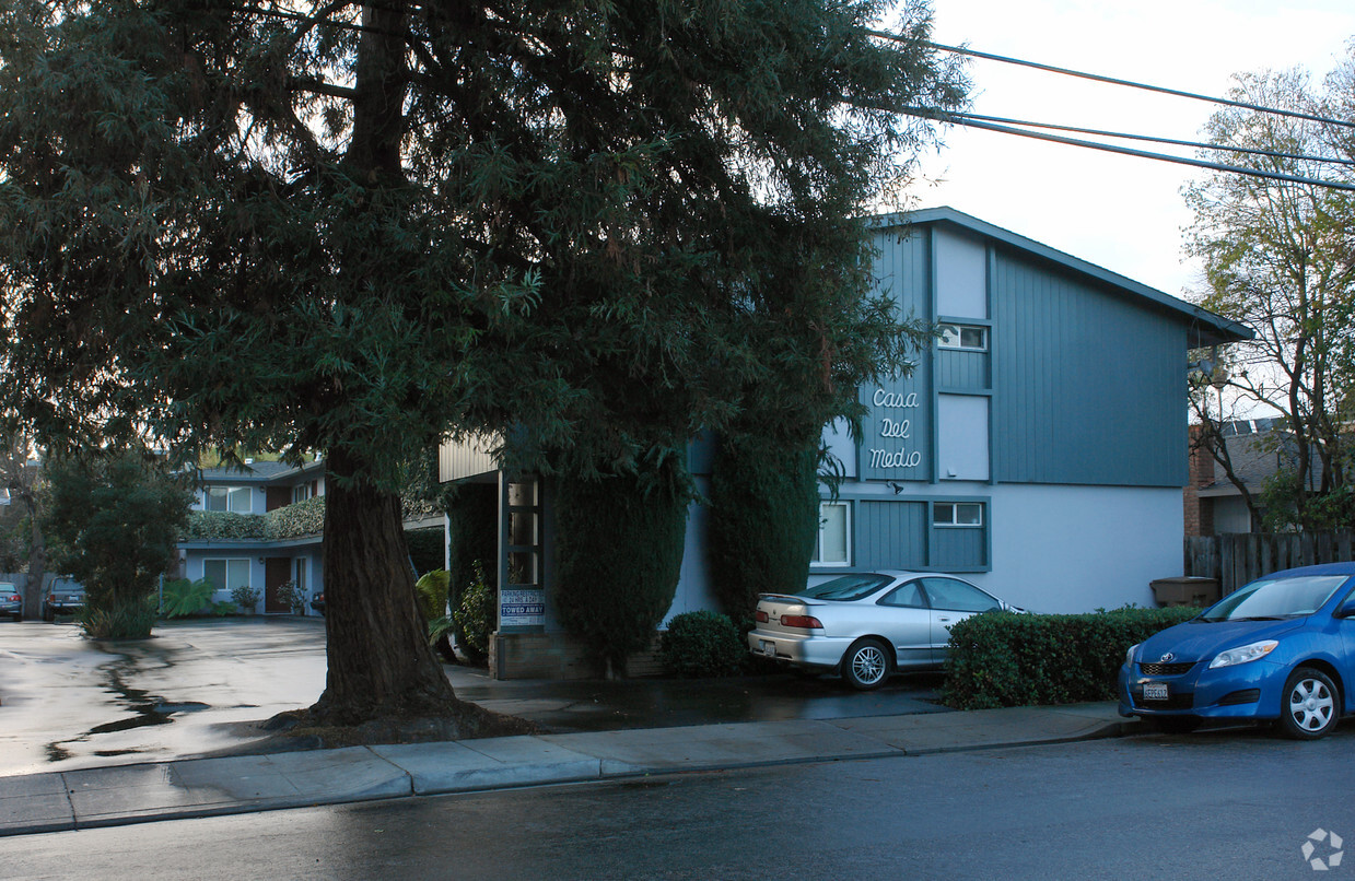 Big Tree cover the building - 417 Del Medio Ave