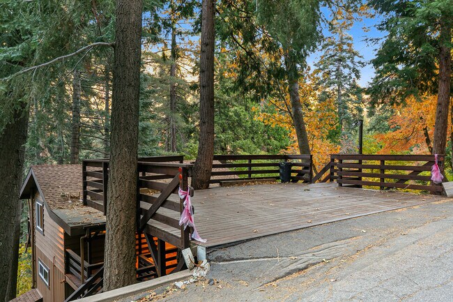 Foto del edificio - 729 Rhine Rd