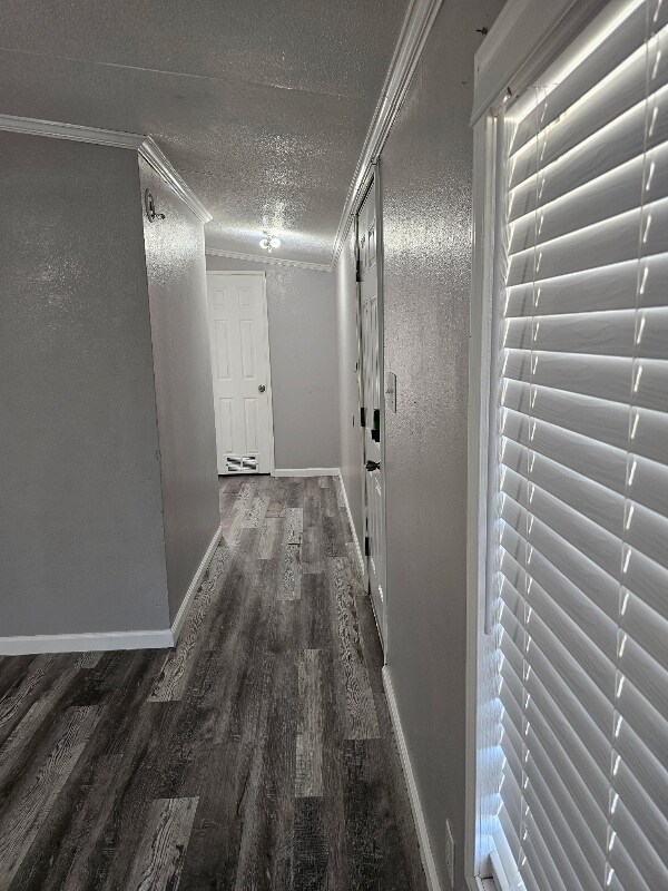 Foto del edificio - 31 Cinnamon Ln