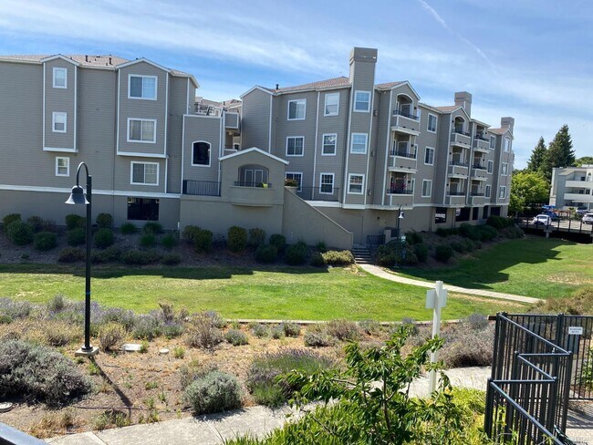 Building Photo - 1579 S Novato Blvd