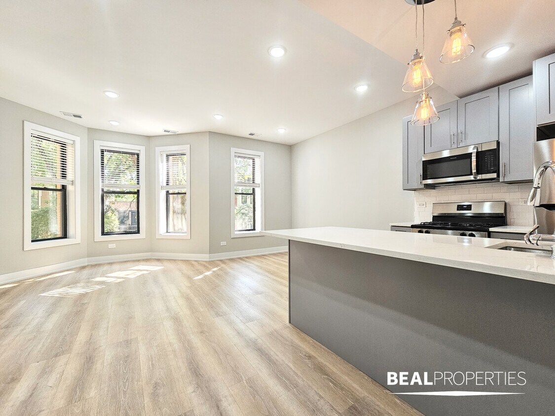 Photo - 438 W Belden Ave (Chicago, IL)