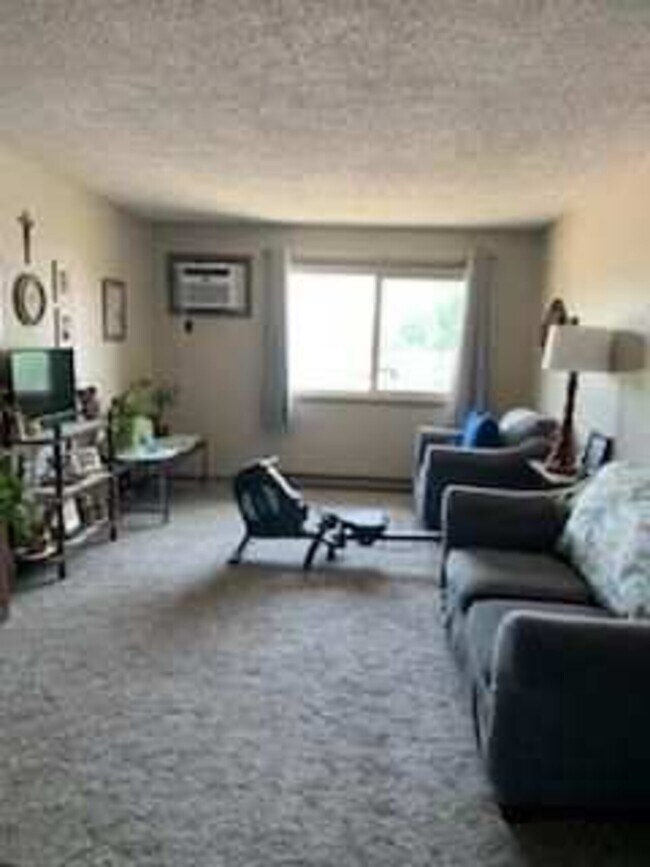 910 E 2nd St Unit 15, Litchfield, MN 55355 Condo for Rent in