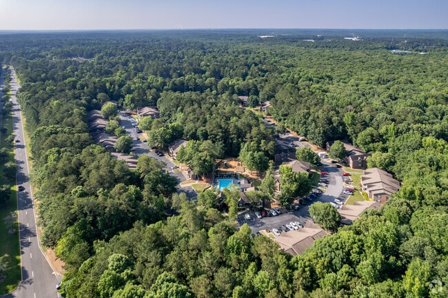 Meadow Run 3 Bedroom Apartments for Rent - Peachtree City, GA - 13