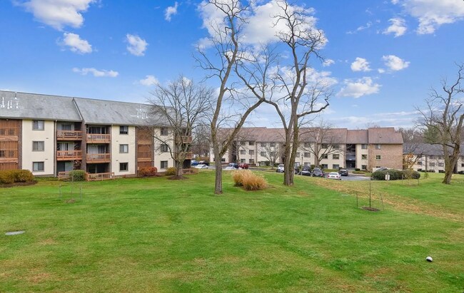 Foto del edificio - 5041 Green Mountain Cir