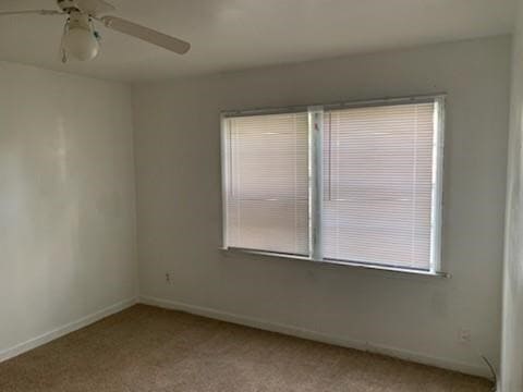 Building Photo - 3121 Cleburne