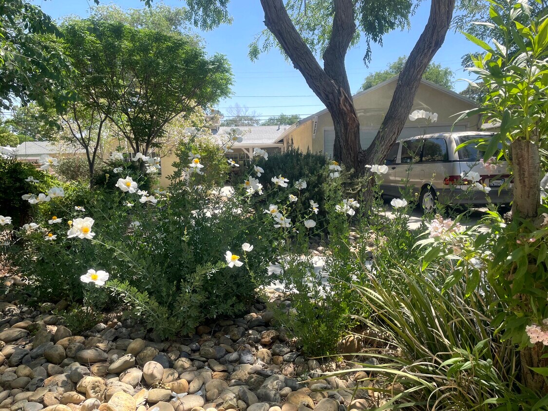 Foto principal - 44722 Fern Ave