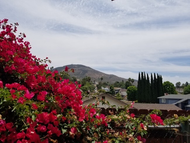 Foto del edificio - Four Bedroom San Carlos Home!