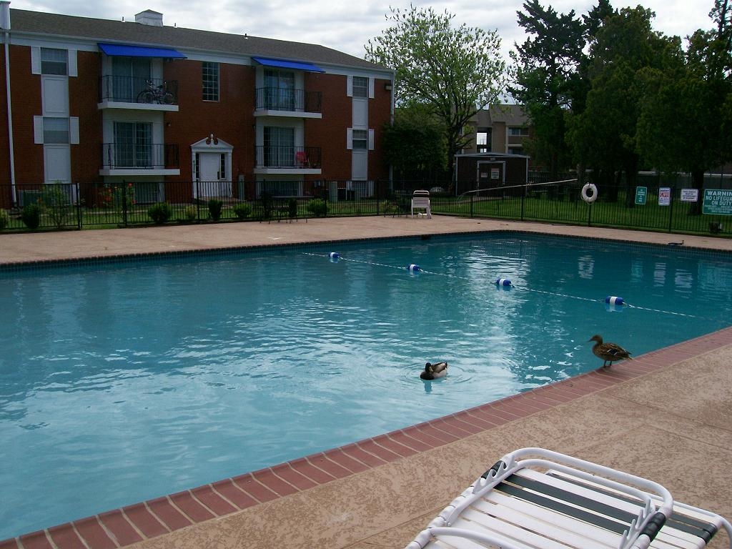Foto del edificio - 4026 N Meridian Ave