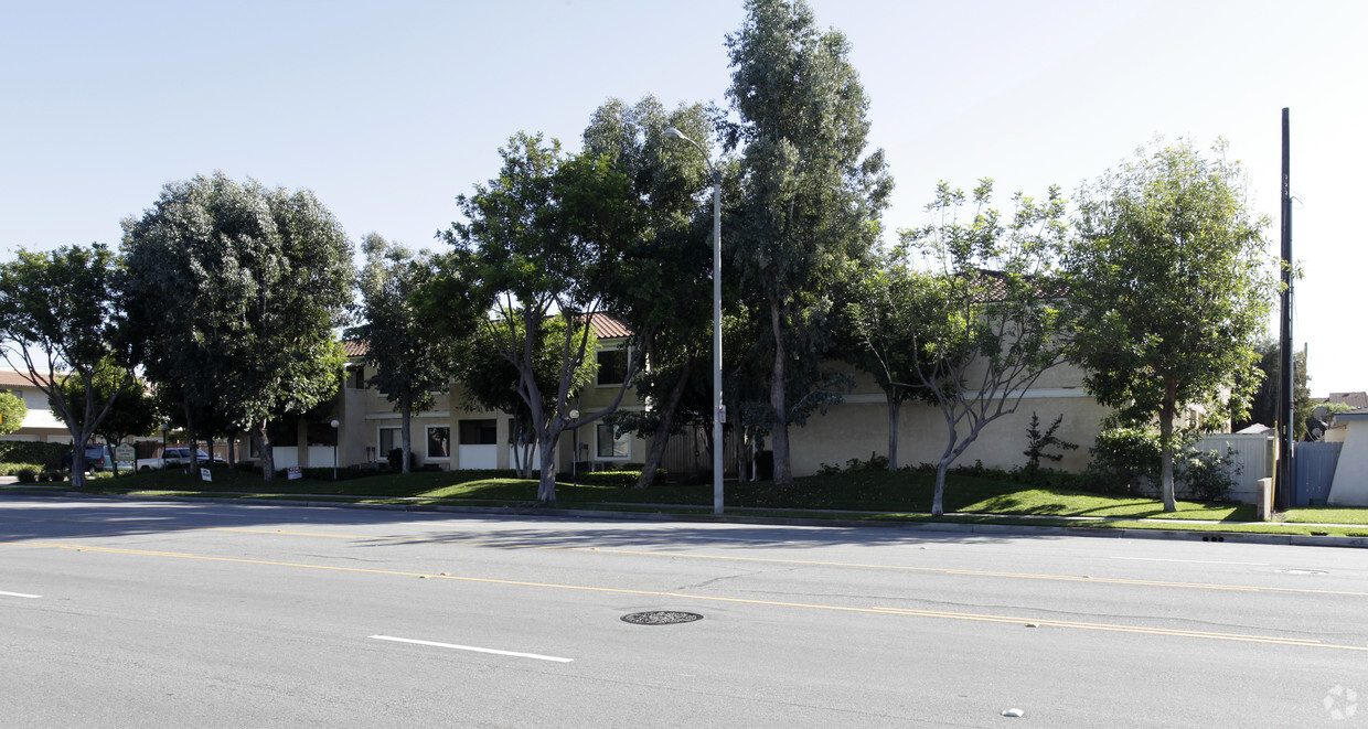 Primary Photo - Citrus Court Apartments