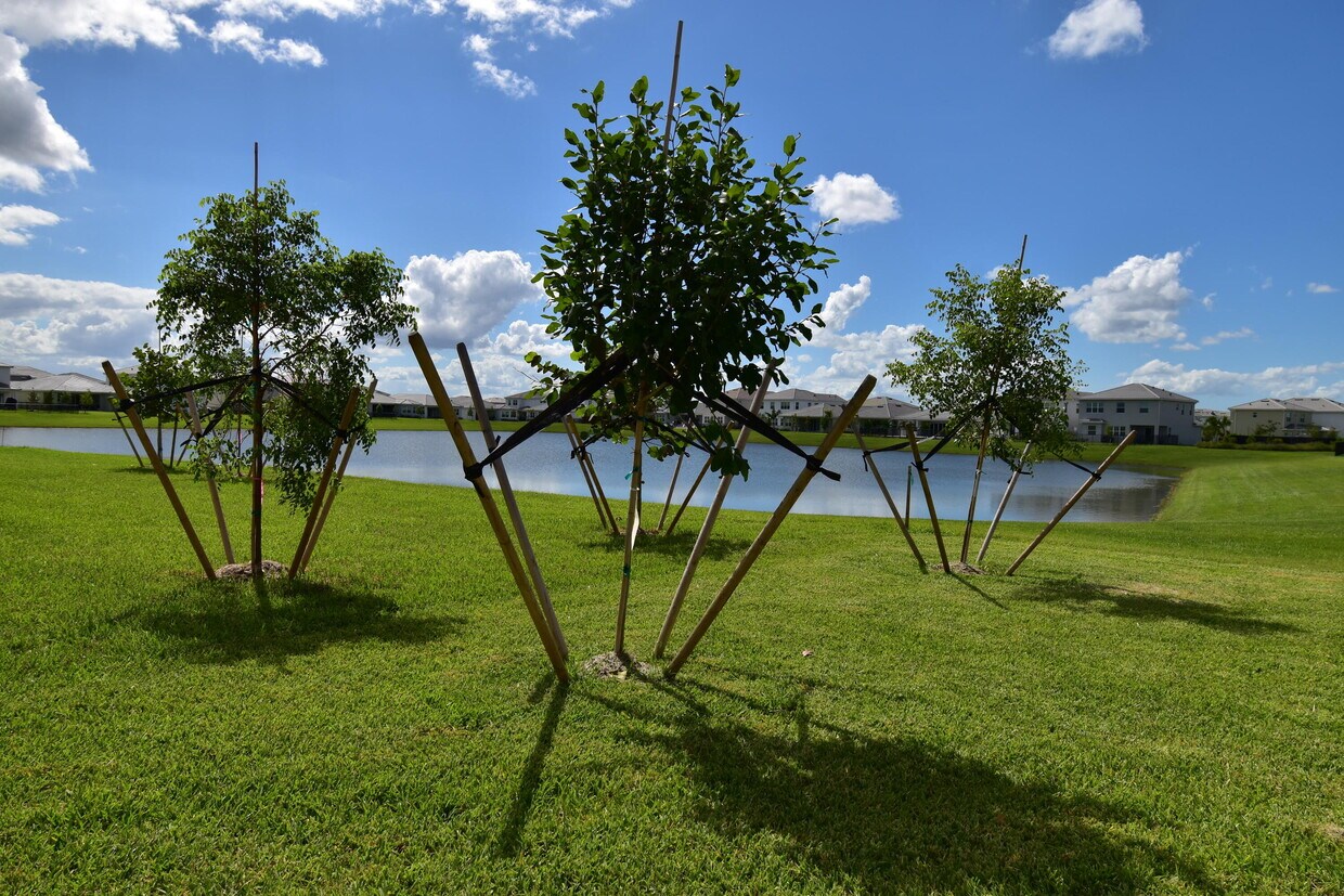 Foto del edificio - 5773 Aleppo Pne Pl