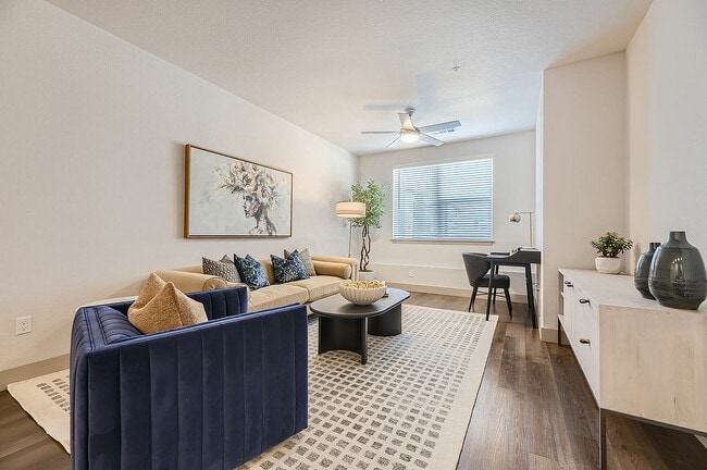 Live in Light-Filled Comfort - Sorella at Loretta Heights