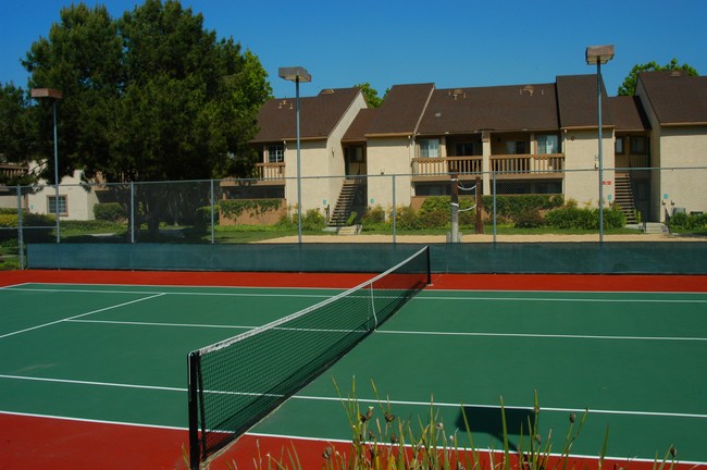 Cancha de tenis - Rose Pointe Apartments