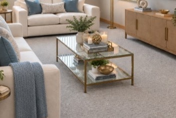 New! Deluxe Unit  with modern gray Interiors & In-unit washer/dryer - Village In The Park