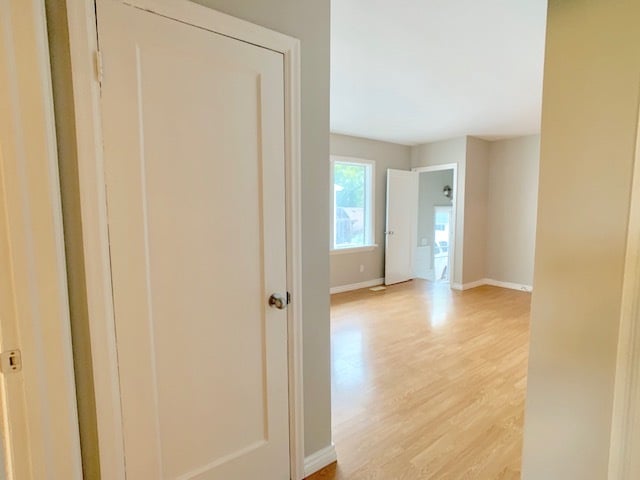 Building Photo - Beautiful 2 bedroom Apartment in Central London - Two Levels *  Finished Basement