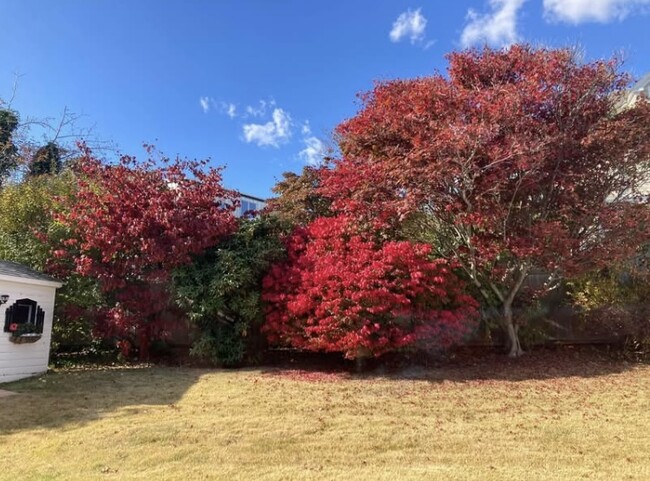 Foto del edificio - 42 Little Nahant Rd