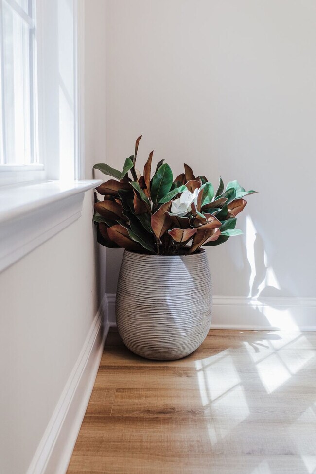 Foto del edificio - 279 Navigators Dr