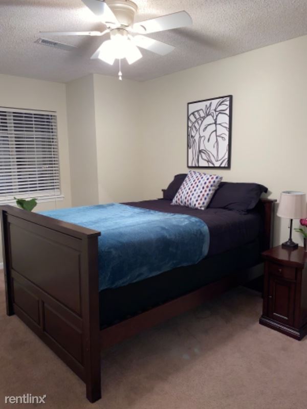 Foto del edificio - 3 br, 2.5 bath House - 810 Williamsburg Ln