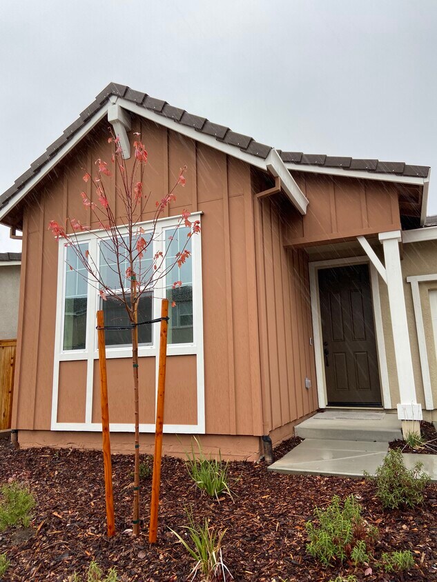 1423 Cheetah St, Rocklin, CA 95765 House Rental in Rocklin, CA
