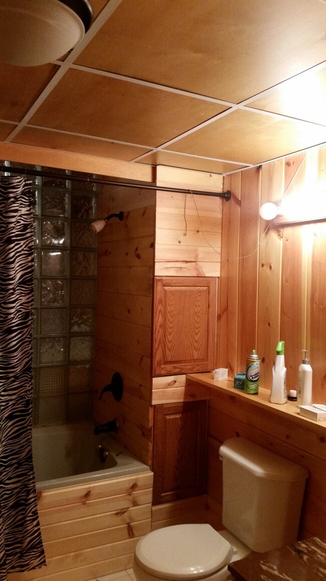 Basement Bathroom - 2020 Providence Ct