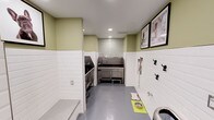 This purpose-built pet grooming space is thoughtfully designed to accommodate all aspects of pet care in a clean, organized environment. The room features white subway tile wainscoting along the lower walls, paired with a soft sage green upper wall color, creating a fresh and hygienic aesthetic throughout. Durable grey flooring provides easy maintenance underfoot.

At the heart of the space are multiple stainless steel dog wash tubs equipped with hose attachments and leash restraints, positioned to allow efficient grooming of multiple pets. A decorative mosaic tile backsplash in green and white tones adds a refined touch behind the wash stations. A built-in grooming and prep area includes a white quartz countertop with an undermount sink, soap dispensers, and treat storage, keeping supplies within easy reach.

Additional features include a low tiled bench ideal for small pet grooming or drying, wall-mounted cat and dog-shaped hooks for leashes and accessories, and recessed lighting throughout that ensures a bright, well-lit workspace. Framed photographic artwork of various dog breeds adds warmth and personality to the space. The layout is practical and efficient, making this a well-equipped facility for comprehensive pet grooming needs.