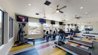 This fitness center is a thoughtfully designed, single-floor facility offering a comprehensive workout experience across two distinct zones. The main exercise area is immediately striking, featuring a bold, multicolored striped floor that adds a lively, energetic atmosphere to the space. Large windows line the walls, flooding the room with natural light and providing clear views of an outdoor pool area framed by palm trees — a motivating backdrop for any workout.

The cardio zone is generously outfitted with a row of treadmills, elliptical trainers, and stationary bikes, each positioned to take advantage of the outdoor views. Wall-mounted flat-screen televisions are strategically placed throughout, while ceiling fans maintain comfortable airflow. Full-length mirrors along one wall enhance the sense of openness and allow users to monitor their form.

A dedicated TRX Training Zone occupies a separate area, complete with a suspension training rig, kettlebells, medicine balls, resistance bands, stability balls, and yoga mats neatly organized on racks. Decorative wall art adds personality to this functional corner. An adjoining room houses Schwinn spin bikes beside horizontal windows overlooking lush greenery and palm trees. The space is finished with clean white walls, recessed lighting, and tasteful artwork throughout, creating a polished and welcoming fitness environment.