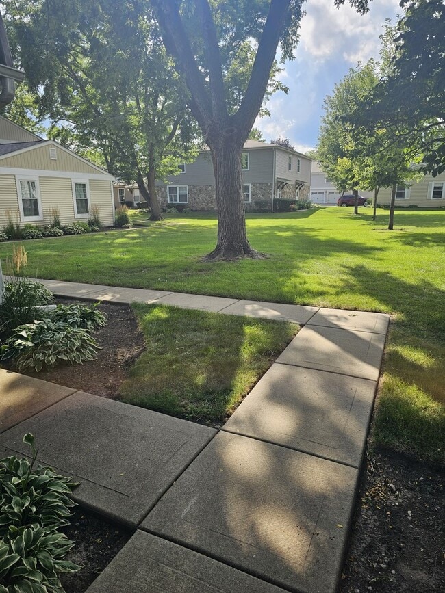 Building Photo - 350 Meadow Ct