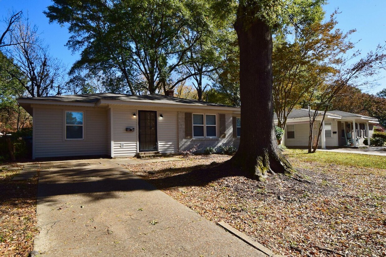 Primary Photo - BEAUTIFULLY UPDATED 4 bed, 2 bath home in ...
