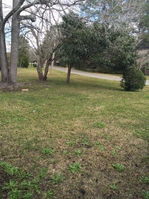 Building Photo - Great Location on James Island