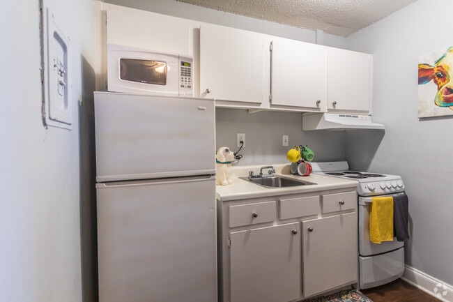 1 BR, 1 BA - 550 SF - Helix at the District Apartments