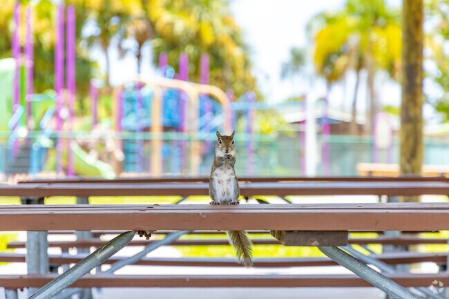 You will find a diverse wildlife in Rockledge.