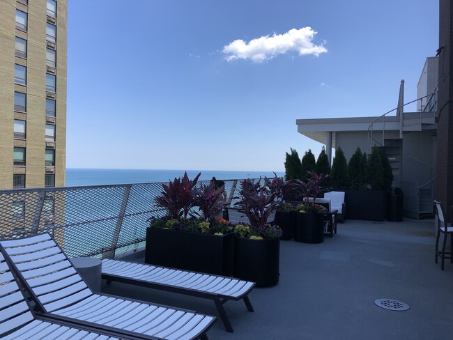 Shared rooftop deck - 1000 N Lake Shore Dr