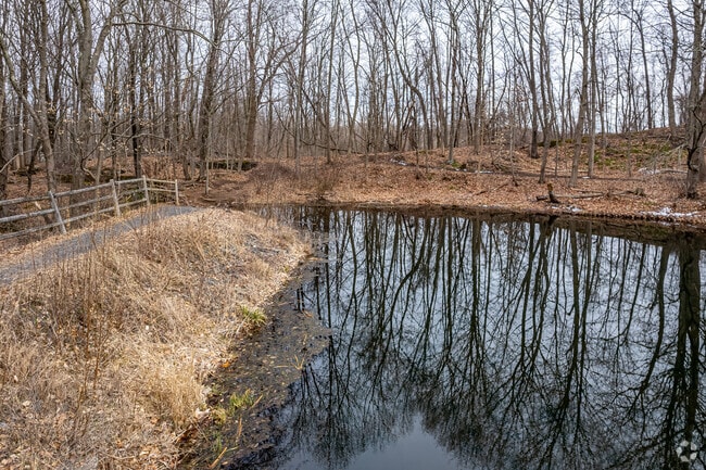 Dividend Pond in Rocky Hill, CT.