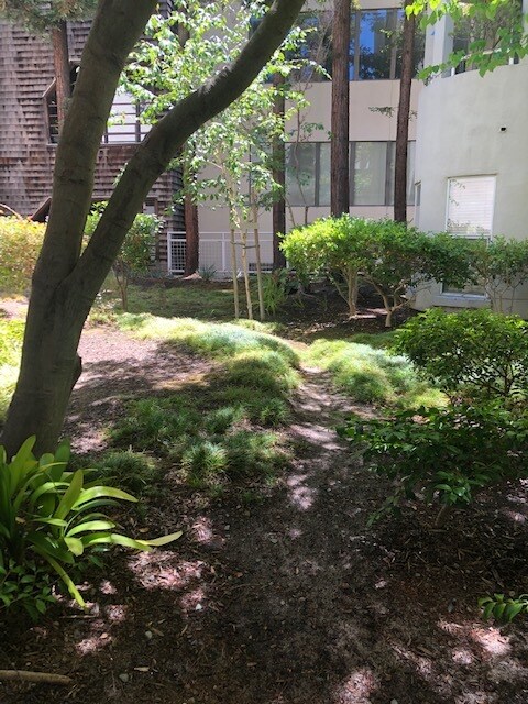 Foto del edificio - 425 Alma St