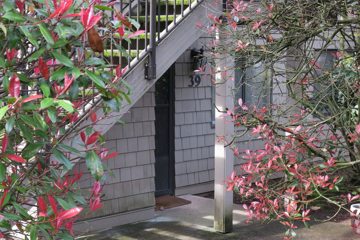 Primary Photo - Beautifully Remodeled Mt. Park Condo with ...