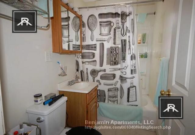Building Photo - 1 bedroom in Brighton MA 02135