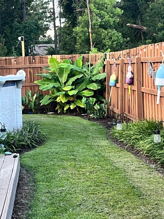 Backyard - 6004 Susan Cir
