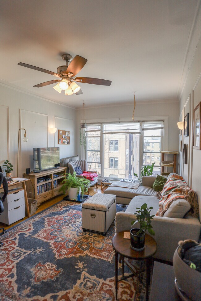 Foto del edificio - 3442 N Elaine Pl