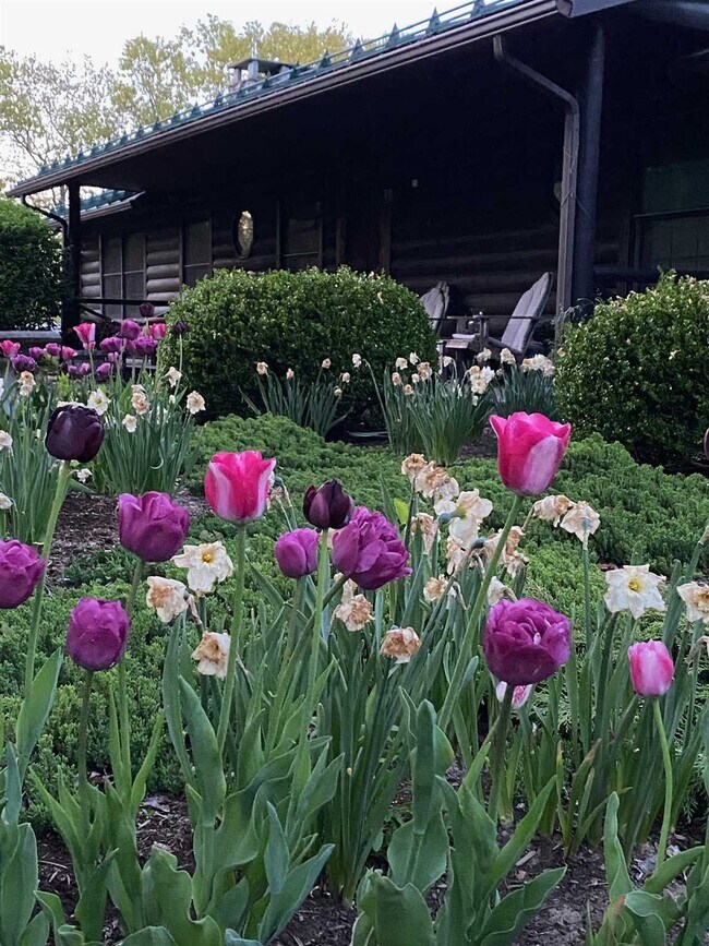 Foto del edificio - 617 Bean River Rd