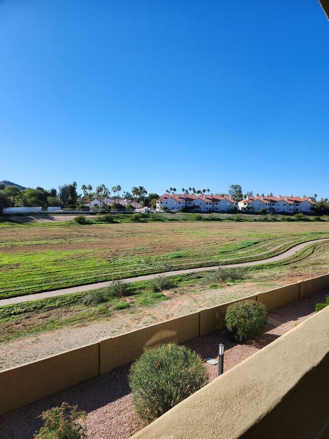 Foto del edificio - 2 Bedroom 2 Bath Condo located in PV